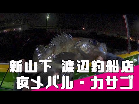 東京湾の船釣り 夏は快適 夜景を見ながら釣り 新山下 渡辺釣船店さんから夜メバル カサゴ船に乗る 22年7月 神奈川県 横浜市 新山下 Youtube