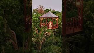 How dreamy is this fairytale treehouse dinner ✨🌴 #shorts #romantic