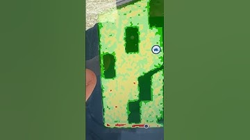 Night & Day Differences in Fungicide Trials 👀🌽