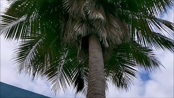 UED 102 2020 | 5 Interesting Places In UiTM Dungun Terengganu