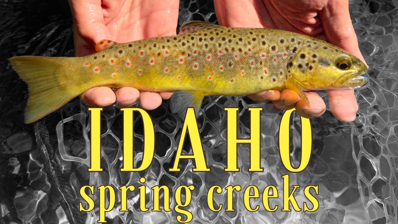 Its the best side of the Tetons? Successful Spring Fly Fishing Eastern
