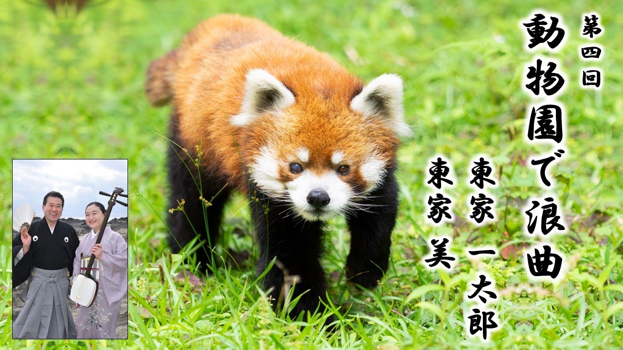 2025年11月1日（土）13:30 第4回「動物園で浪曲」【アカデミア・アニマリウム】