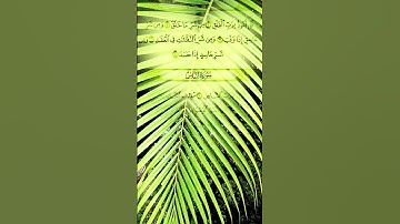 🕊️ "سورة الفلق: درع الأمان من ظلمات الشر" #اكسبلور #duet #المصحف #لايك #ايقنت #دويتو