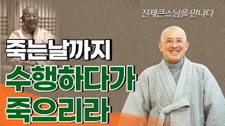 [문광스님6편] 죽는날까지 수행하다가 죽으리라 / 진제큰스님을 만나다