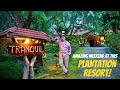 Only 5 Hours From Bengaluru! TRANQUIL RESORT Coffee &amp; Fruit Orchards | New Series Preview! Vlog 290