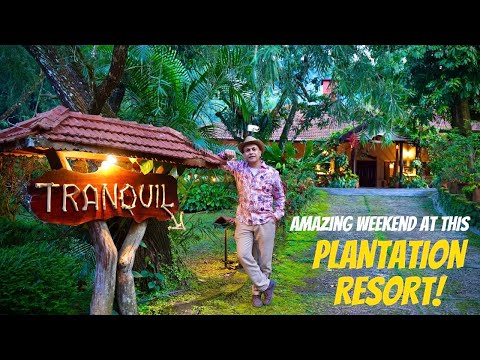 Only 5 Hours From Bengaluru! TRANQUIL RESORT Coffee & Fruit Orchards | New Series Preview! Vlog 290