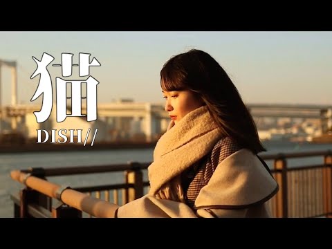 猫 DISH//  現役メイドが本気で歌ってみた