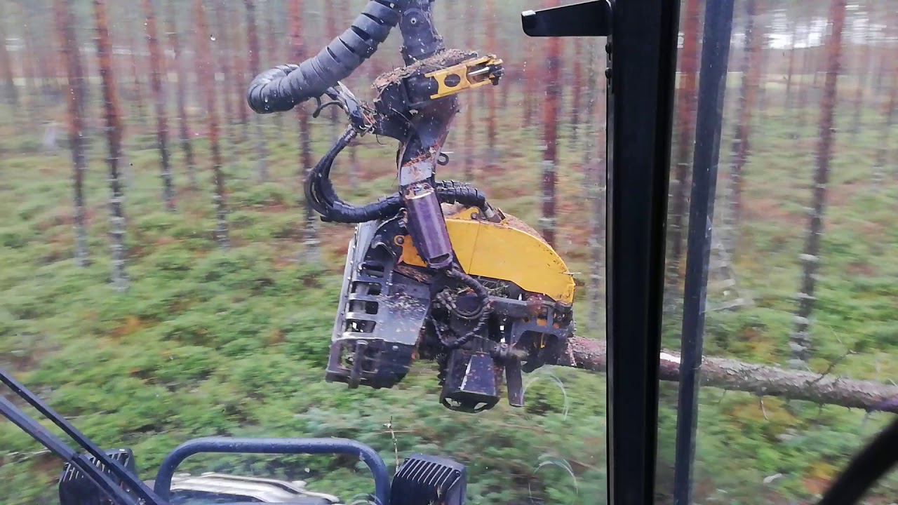 Ponsse Scorpion h5 männikön harvennus, joukkokäsittely