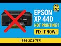 How to Fix Epson XP 440 Not Printing Issue | Techy Man Support