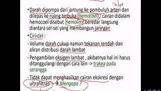 Fisiologi Hewan: Sistem Peredaran Darah bag. 2 (Part I) #StudyFromHome