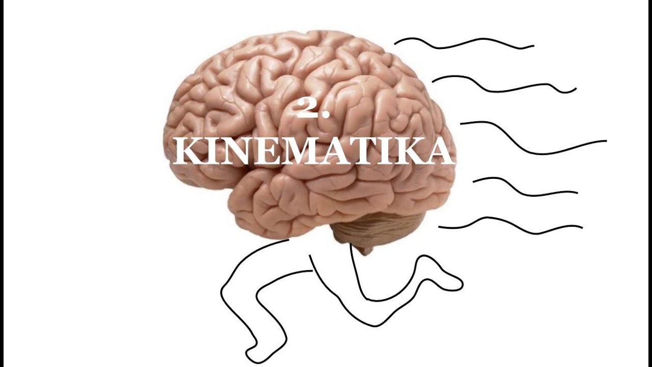 1.2.2 Fyzika / Rovnoměrný pohyb a grafy znázorňující pohyb