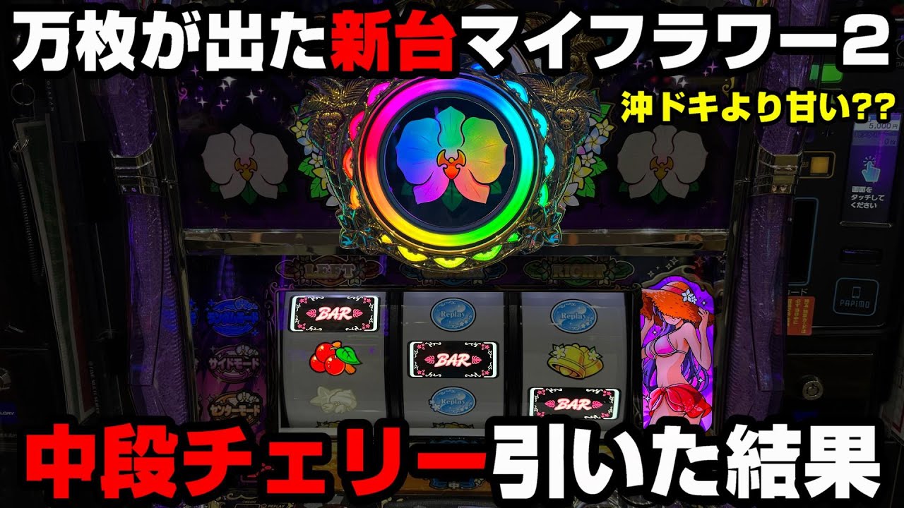 新台【マイフラワー2】万枚報告のある台で中段チェリーを引いた結果