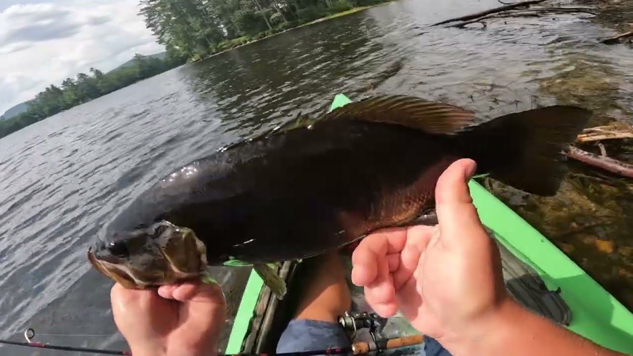 This is the EASIEST way to catch BIG BASS!