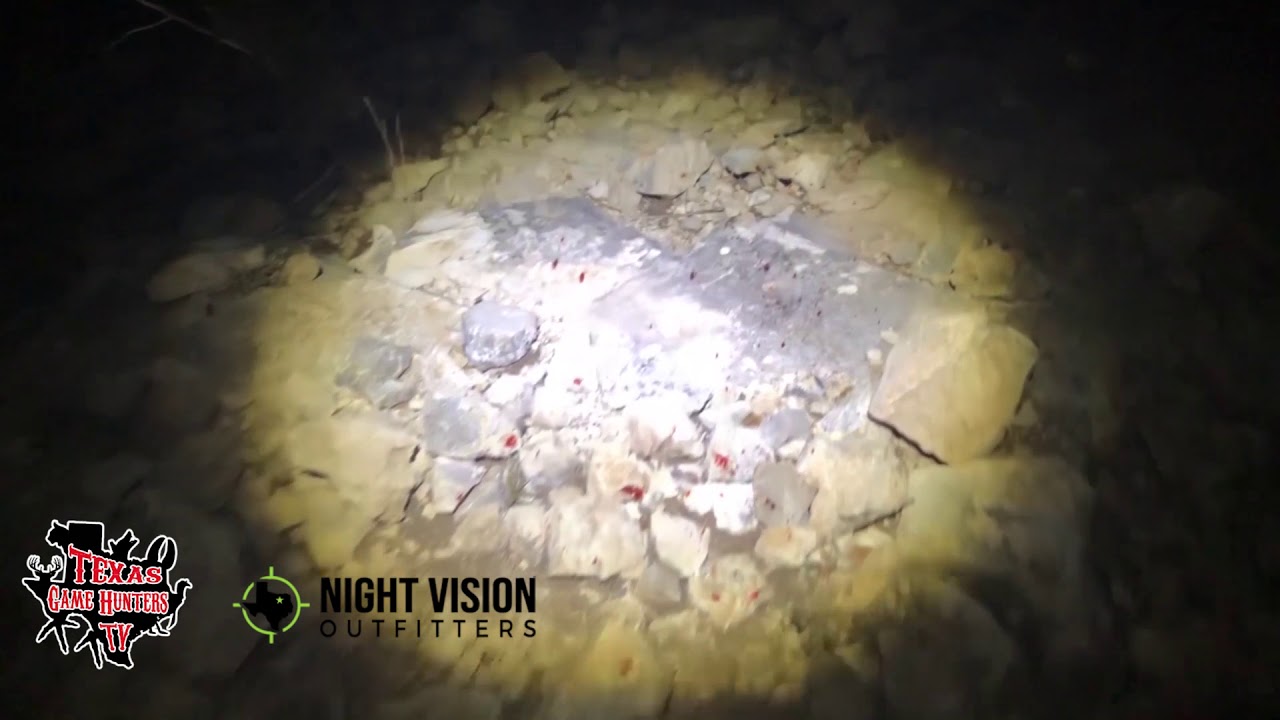 Pulsar Thermion XP 50 Gray Fox Heart Shot Night Vision Outfitters