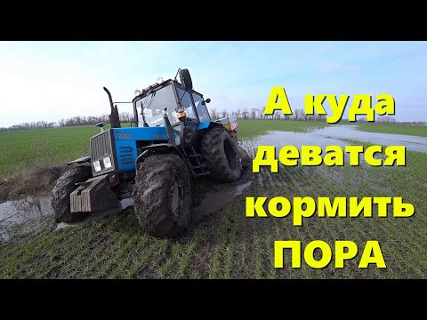 Подкормка Озимой Пшеницы 2024 / ТОНЕМ НО ЕДЕМ / Экстремальные ВИРАЖИ на ТРАКТОРЕ