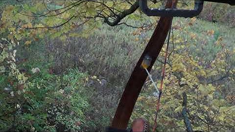 Deer jumps the string in slow motion