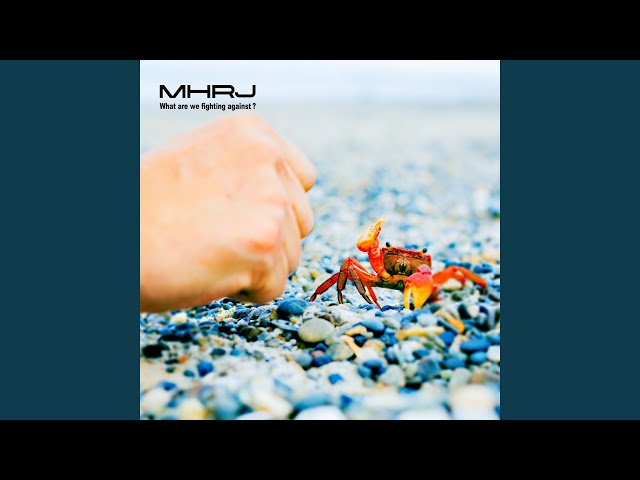 僕らは何と戦ってるんだろうNEW!MHRJ