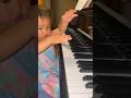 1year old rucola is pianist  shortspiano