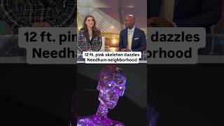 A giant pink skeleton is dazzling a neighborhood in Needham, Massachusetts, this Halloween.
