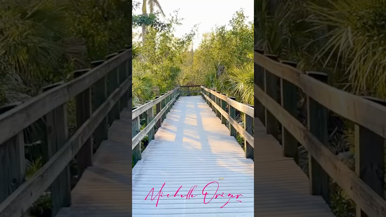 Hidden Gem in Bonita Springs: Imperial River 🐬🌴