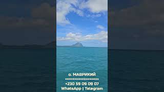 Остров МАВРИКИЙ - Рай на Земле, жизнь в котором Вы можете себе позволить | Недвижимость на Маврикии