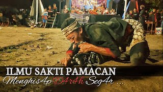 Viral..ilmu sakti pamacan menghis4p d4r4h segar - Padepokan Layung Mekar