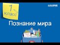 Познание мира. 1 класс. Кто я /04.09.2020/