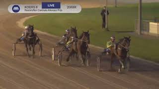 Vidéo de la course PMU RESTSTOFFEN CENTRALE ALKMAAR PRIJS