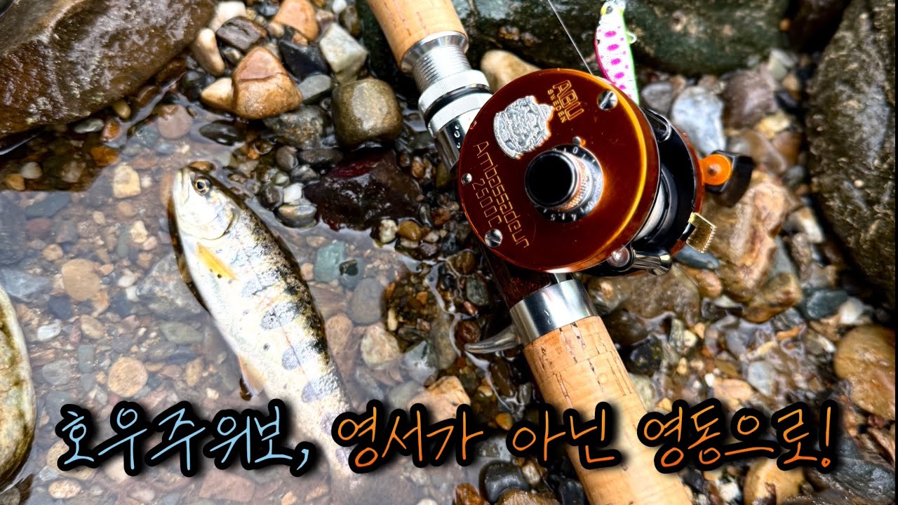 PFLUEGER SUMMIT 1993 L REEL #directreel #pfluegerreels #渓流