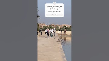 من هي السورة التي لا تحتوي على حرف الباء؟ #quran #القران