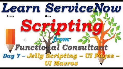 Day7 | ServiceNow Scripting - Jelly Script - UI Pages - UI Macros | Learn From Functional Consultant