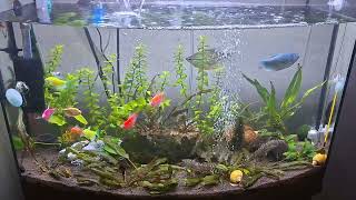 Подмена воды спасибо подписчикам за совет