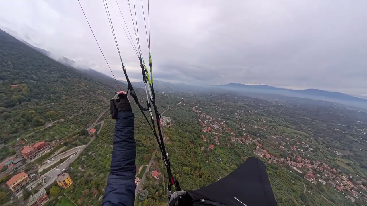 Serrone, zlot, cały, bez cięcia