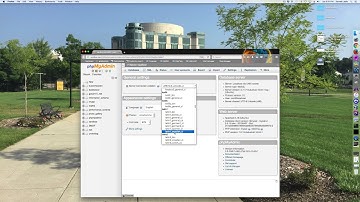 Character Set and Collation for MySQL