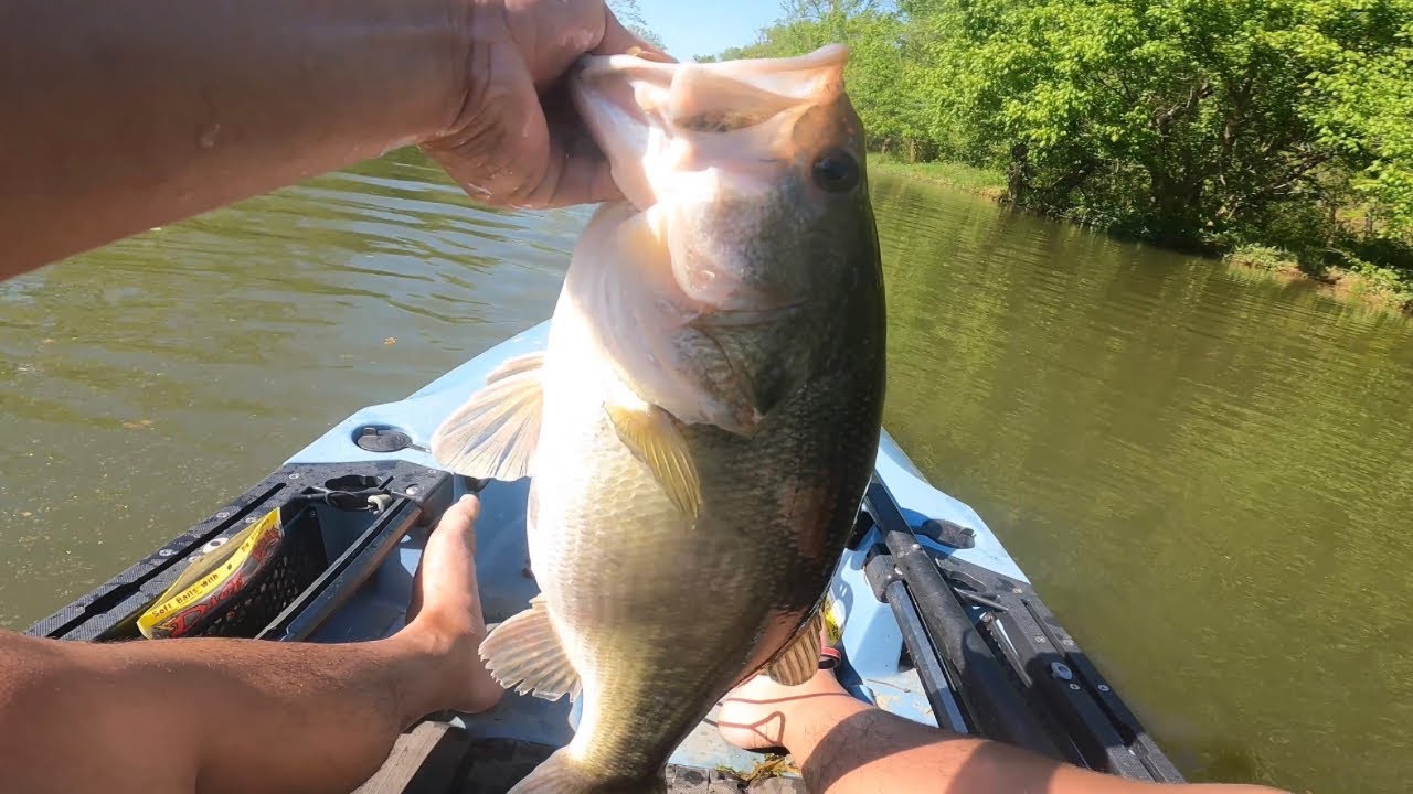 A Day FULL of BIG Fish! Kayak Bass Fishing YouTube