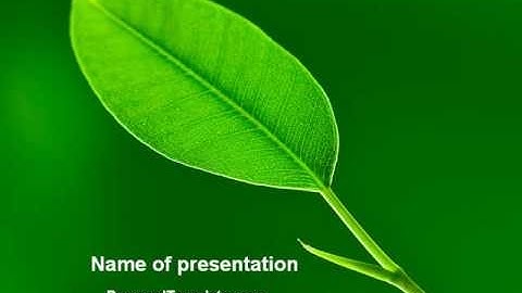 New Green Leaf PowerPoint Template by PoweredTemplate.com