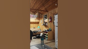 Menko the Cat Wore Herself Out Being a Menace