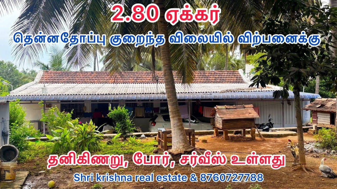 219) 2.80 ஏக்கர்  தென்னந்தோப்பு  வீட்டுடன் விற்பனைக்கு பொள்ளாச்சி ஏரியாவில்