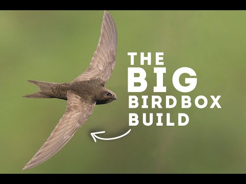 The Big Bird Box Build | Paradise Wildlife Park