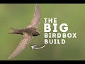 The Big Bird Box Build | Paradise Wildlife Park