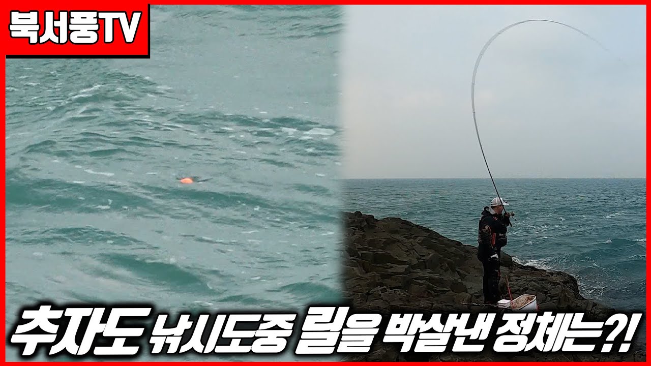 추자도 낚시갔다가 릴이 박살나버렸습니다!!