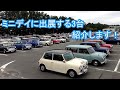 Becheree ミニデイに出展する3台のミニを紹介します！ #classicmini #rovermini #クラシックミニ #ローバーミニ #ミニ #ジャパンミニデイ
