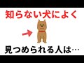 【雑学】動物が寄ってくる人のスピリチュアルな雑学