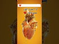 قلب من عسل