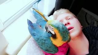 Bağarma Ne Bağriyon