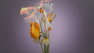 Polar Inc. - Sidis