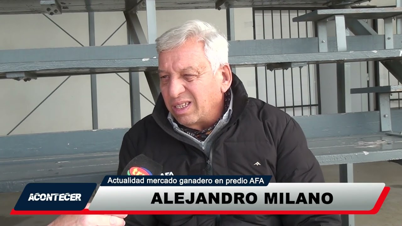 Marcos Juárez: Situación y actualidad del mercado ganadero. Más detalles