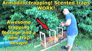 Armadillo trapping, scented traps WORK! A new trap design! #611