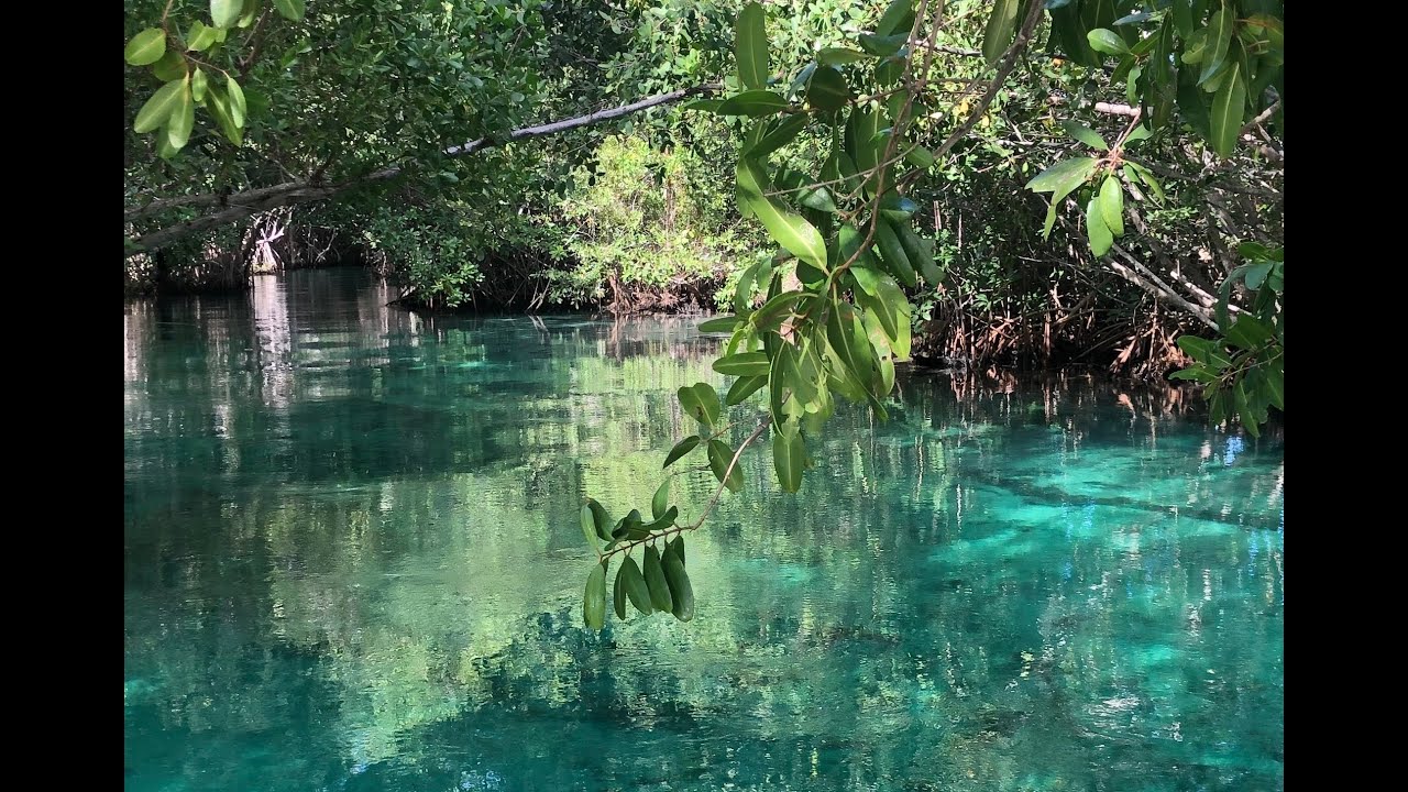 Tres Rios Rivers Hacienda Tres Rios - River kayak in Mexico - YouTube
