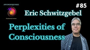 #85 Perplexities of consciousness -   Eric Schwitzgebel
